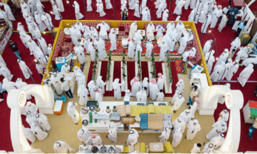 Suhail Falcon Exhibition Suhail Falcon Exhibition