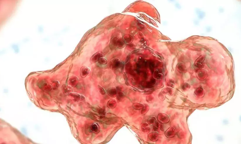 അമീബിക് മസ്തിഷ്‌ക ജ്വരം: കാരണമറിയാൻ ഗവേഷണം; വിശദമായ പഠനം നടത്തി ആക്ഷൻ പ്ലാൻ തയാറാക്കും