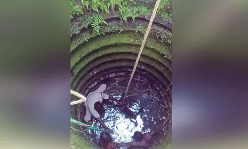 കിണറ്റിൽ വീണ വയോധികക്ക് രക്ഷകരായി പൊലീസ് കിണറ്റിൽ വീണ വയോധികക്ക് രക്ഷകരായി പൊലീസ്