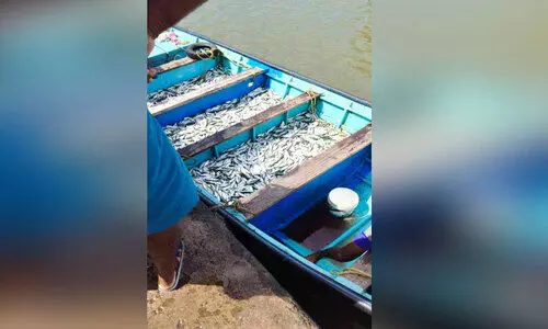 മി​ന്ന​ൽ പ​രി​ശോ​ധ​ന; അ​ന​ധി​കൃ​ത മ​ത്സ്യ​ബ​ന്ധ​ന​ത്തി​ന് പി​ടി​വീ​ണു