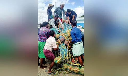 ഇരട്ടവല മത്സ്യബന്ധനം: കണ്ണടച്ച്  അധികൃതർ; തീരം സംഘർഷഭരിതം