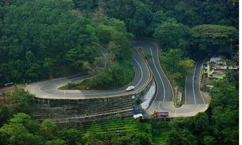 വയനാട്​ ടൂറിസം മേഖലയുടെ പുനരുജ്ജീവനം: അടുത്ത മാസം പ്രത്യേക കാമ്പയിൻ