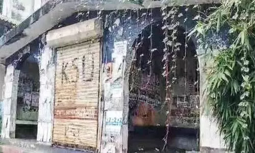 waiting shed covered by forest