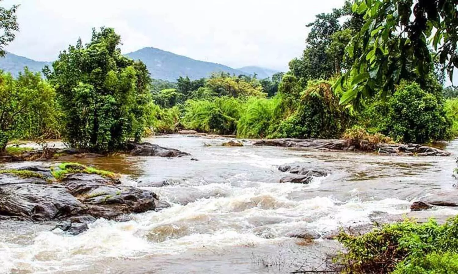 ജില്ലയിലെ ആദ്യ ഹരിത ടൂറിസ്റ്റ് കേന്ദ്രമാകാനൊരുങ്ങി പാണിയേലി പോര്