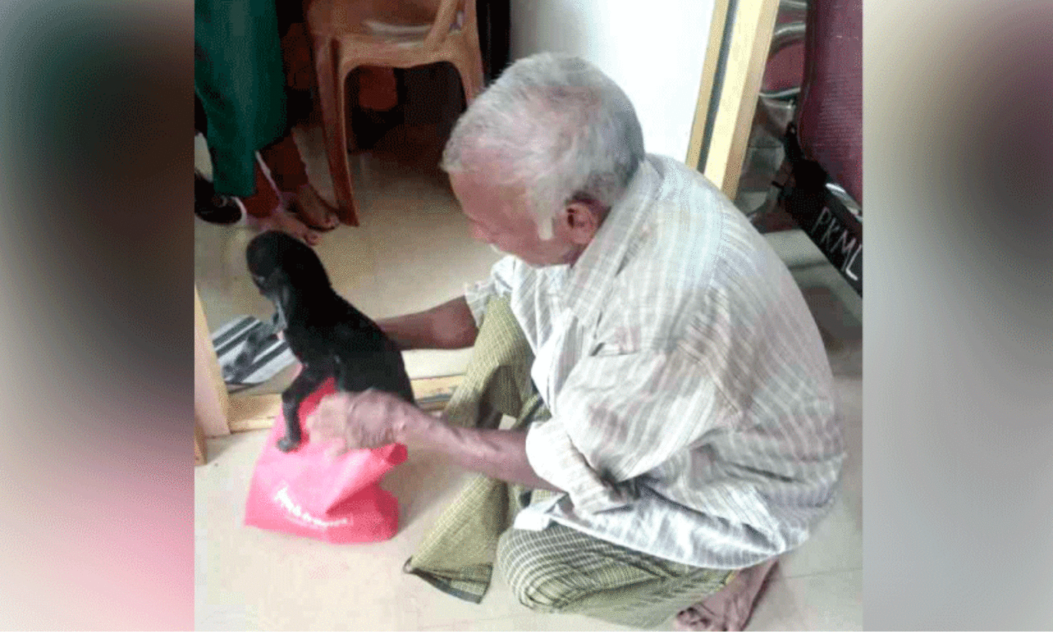 വളർത്തുമൃഗത്തിന് ചികിത്സ നൽകിയില്ല; മൃഗഡോക്ടർക്കെതിരെ നടപടിയുമായി പഞ്ചായത്ത്