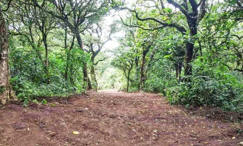 road construction road construction