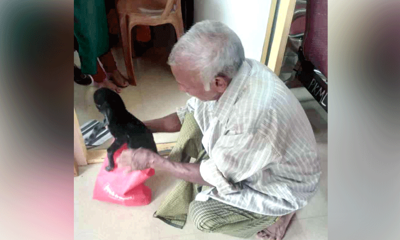 വളർത്തുമൃഗത്തിന് ചികിത്സ നൽകിയില്ല; മൃഗഡോക്ടർക്കെതിരെ നടപടിയുമായി പഞ്ചായത്ത് വളർത്തുമൃഗത്തിന് ചികിത്സ നൽകിയില്ല; മൃഗഡോക്ടർക്കെതിരെ നടപടിയുമായി പഞ്ചായത്ത്