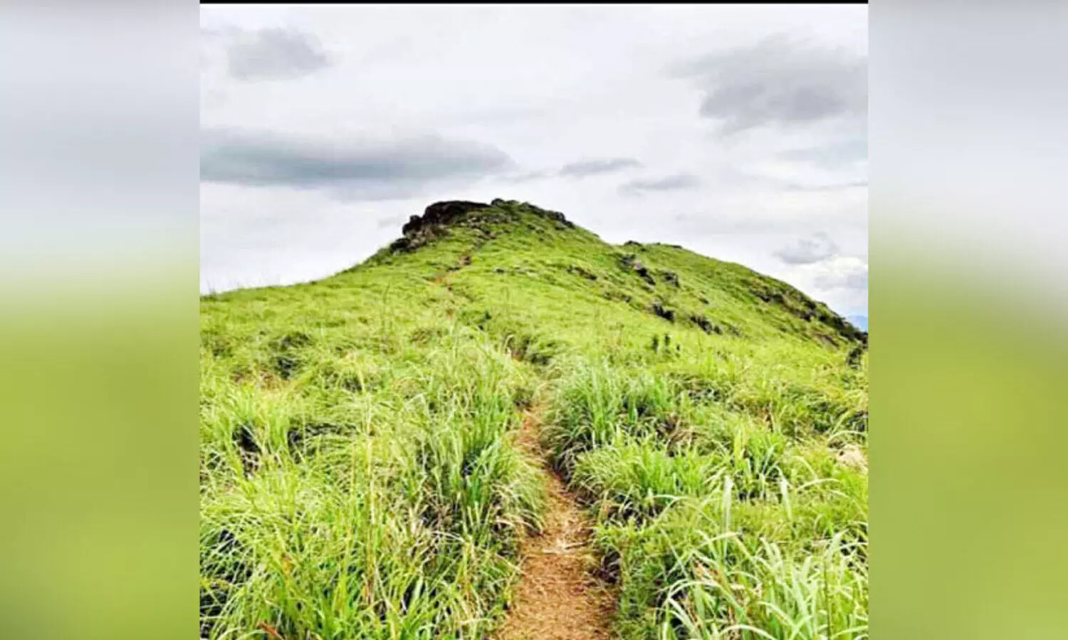 കാഴ്ചയുടെ വിരുന്നൊരുക്കി പാൽക്കുളംമേട്
