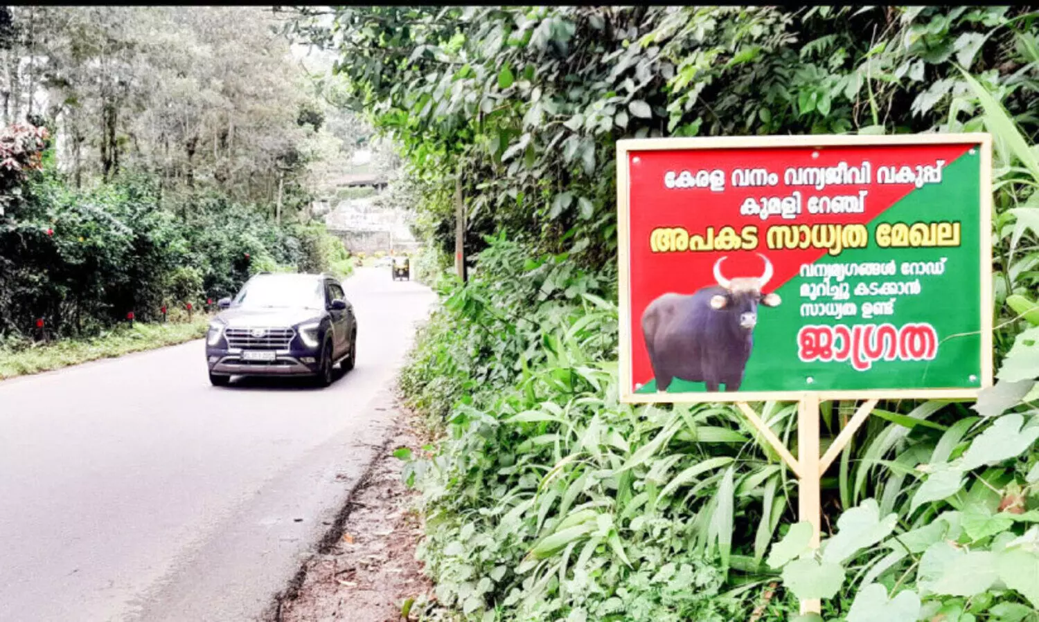 കാടുവിട്ടിറങ്ങി വന്യമൃഗങ്ങൾ; ദേശീയപാതയിൽ ബോർഡ് സ്ഥാപിച്ച് വനപാലകർ