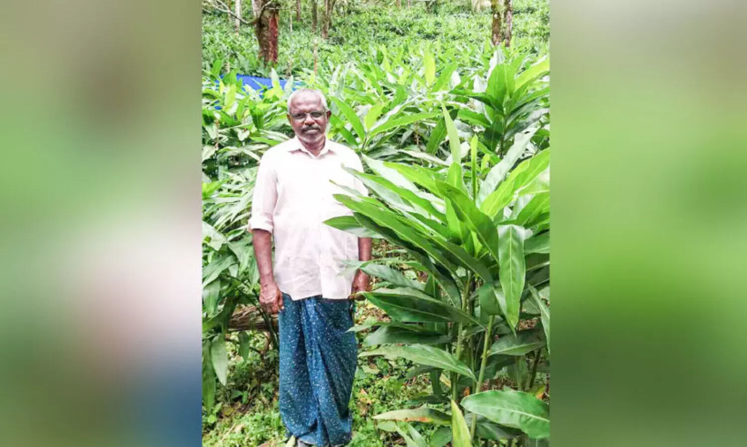 മലയിഞ്ചി വിളയിച്ച് റോജർ