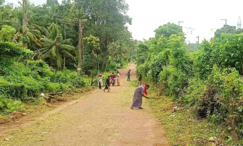 റെയിൽവെ സ്റ്റേഷൻ റോഡിലെ കാട് വെട്ടിത്തെളിച്ചു റെയിൽവെ സ്റ്റേഷൻ റോഡിലെ കാട് വെട്ടിത്തെളിച്ചു