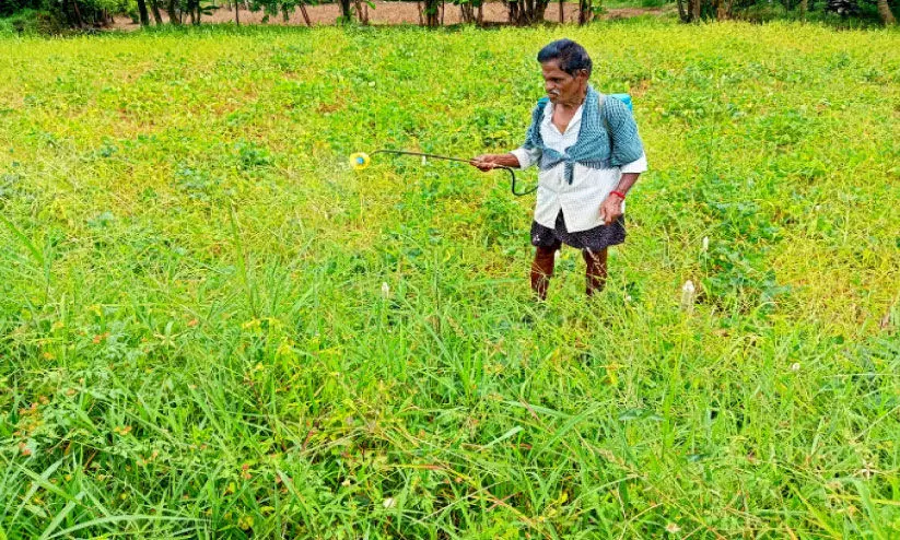 മു​ൻ​ക​രു​ത​ലു​ക​ളി​ല്ലാ​തെ ക​ള​നാ​ശി​നി പ്രയോ​ഗം