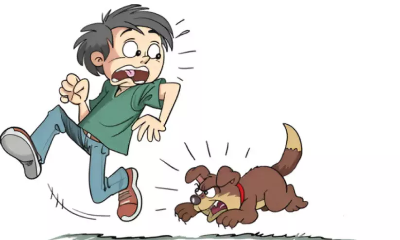 എലിക്കുളത്ത് ആറുപേർക്ക് നായുടെ കടിയേറ്റു