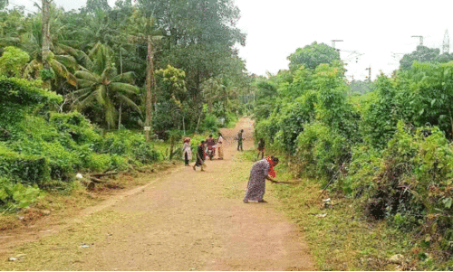 റെയിൽവെ സ്​റ്റേഷൻ റോഡിലെ കാട് വെട്ടിത്തെളിച്ചു