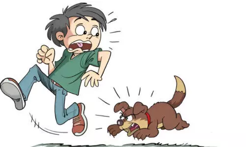 എലിക്കുളത്ത് ആറുപേർക്ക് നായുടെ കടിയേറ്റു