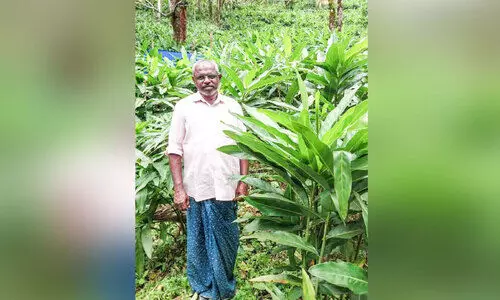 മലയിഞ്ചി വിളയിച്ച് റോജർ