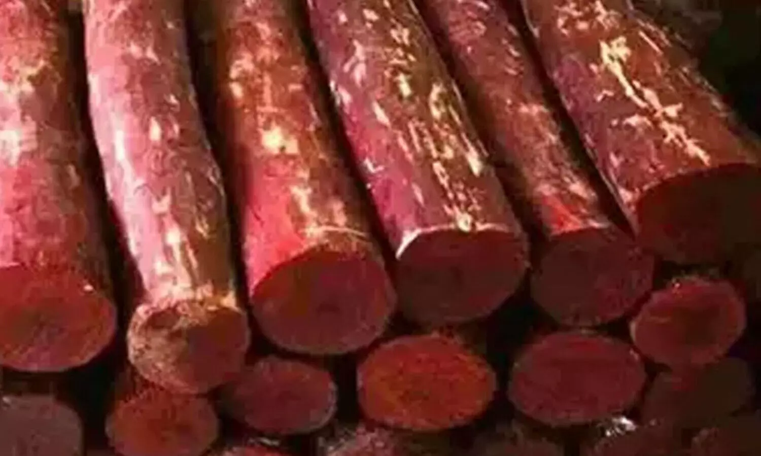 മറയൂർ ചന്ദനം കടത്ത്; പിന്നിൽ അന്തർ സംസ്ഥാന മാഫിയ