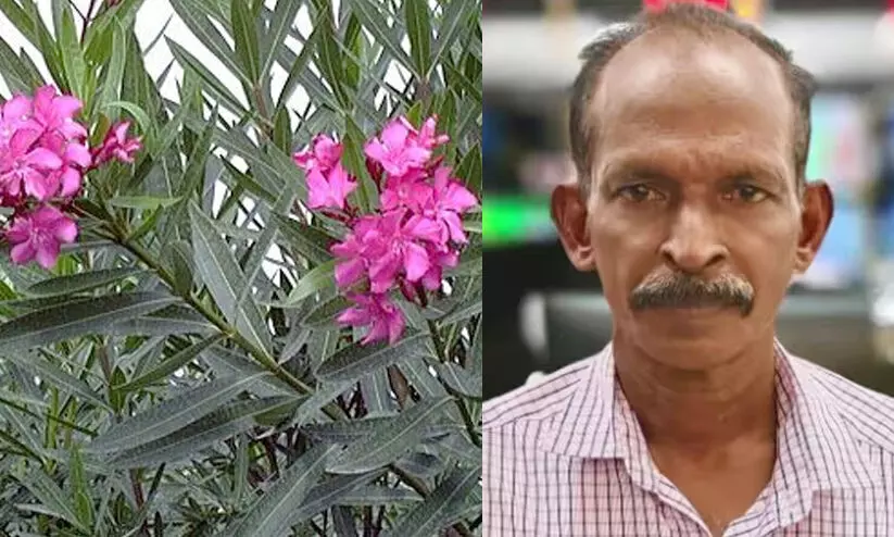 ഗൃഹനാഥൻ മരിച്ചു; അരളി ഇല ജ്യൂസ് കഴിച്ചിരുന്നെന്ന് ബന്ധുക്കൾ