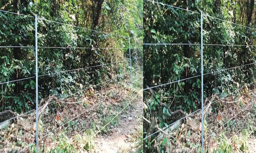 കമ്പിവേലിയിൽനിന്ന് ഷോക്കേറ്റ് മരണം: അന്വേഷണം കാലതാമസമില്ലാതെ പൂർത്തിയാക്കണമെന്ന് മനുഷ്യാവകാശ കമീഷൻ കമ്പിവേലിയിൽനിന്ന് ഷോക്കേറ്റ് മരണം: അന്വേഷണം കാലതാമസമില്ലാതെ പൂർത്തിയാക്കണമെന്ന് മനുഷ്യാവകാശ കമീഷൻ