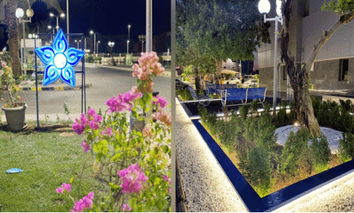 Tree plantation campaign