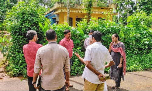 നെ​ന്മേ​നി പ​ഞ്ചാ​യ​ത്തി​ലും കോ​ള​റ