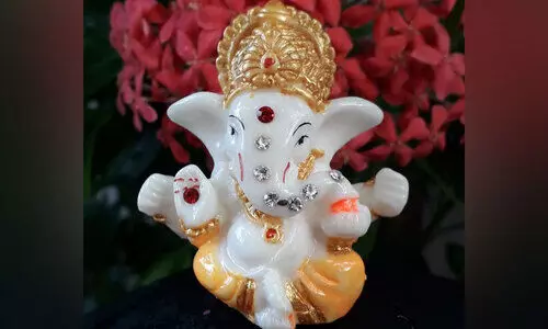 പ്ലാ​സ്റ്റ​ർ ഓ​ഫ് പാ​രീ​സ് ഗ​ണേ​ശ വി​ഗ്ര​ഹം നി​രോ​ധി​ച്ചു