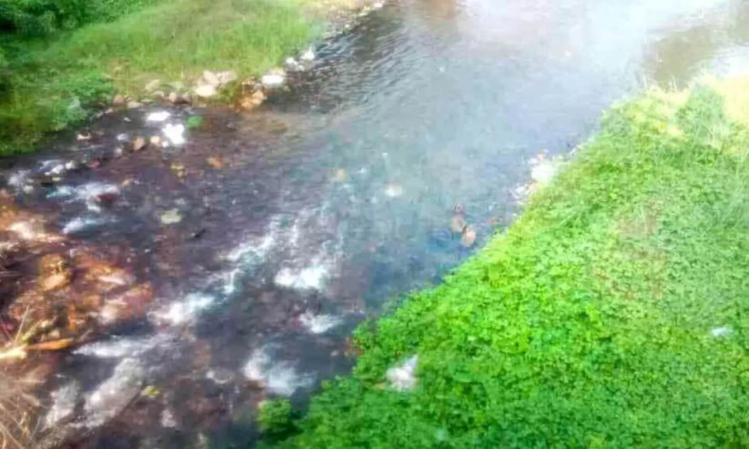 waste dumped in river