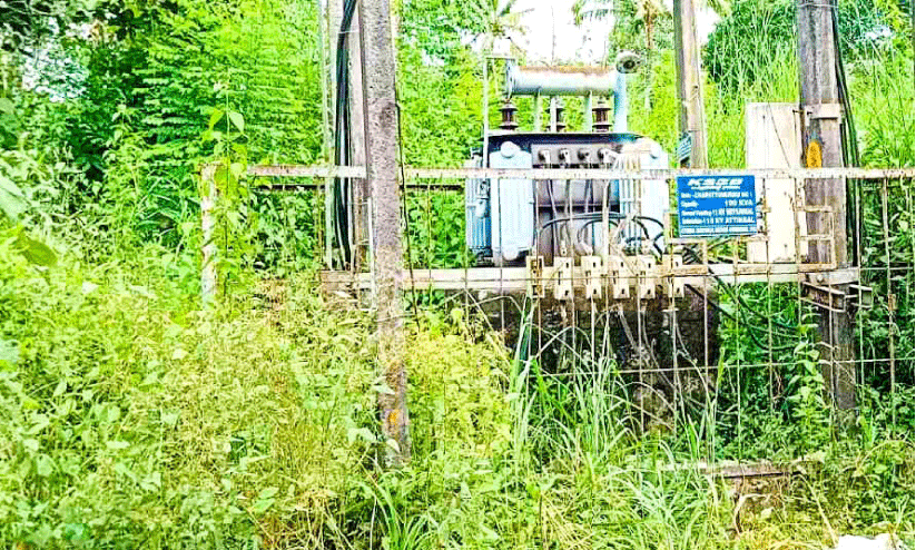 ട്രാൻസ്ഫോർമറുകൾ കാടുമൂടുന്നു; അധികൃതർ അവഗണിക്കുന്നെന്ന് ആക്ഷേപം ട്രാൻസ്ഫോർമറുകൾ കാടുമൂടുന്നു; അധികൃതർ അവഗണിക്കുന്നെന്ന് ആക്ഷേപം