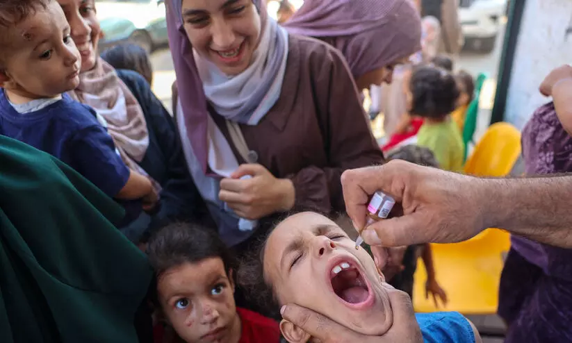 Gaza Polio Vaccine