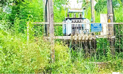 ട്രാൻസ്ഫോർമറുകൾ കാടുമൂടുന്നു; അധികൃതർ അവഗണിക്കുന്നെന്ന് ആക്ഷേപം