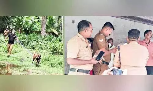 murder case investigation