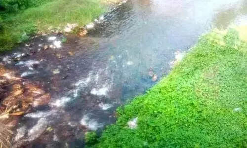 waste dumped in river waste dumped in river