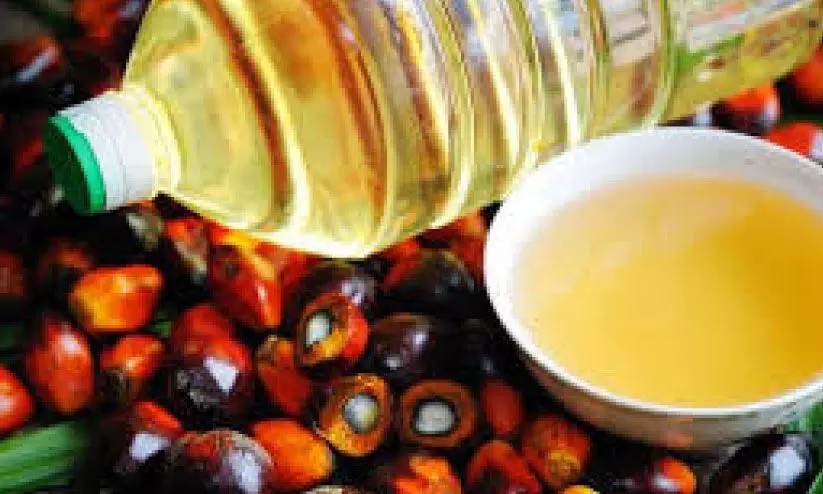 ഭക്ഷ്യയെണ്ണ വിപണിയിൽ മത്സരം ശക്തം