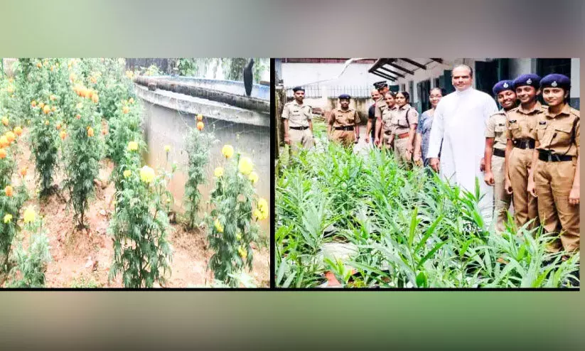 Student police cadets agriculture