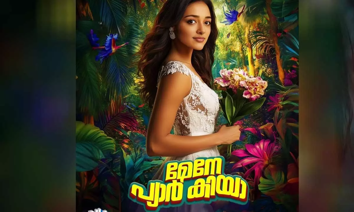 Mandakini makers announce their next, Maine Pyar Kiya