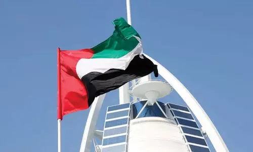 uae flag