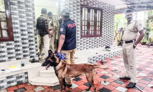 dog squad inspection
