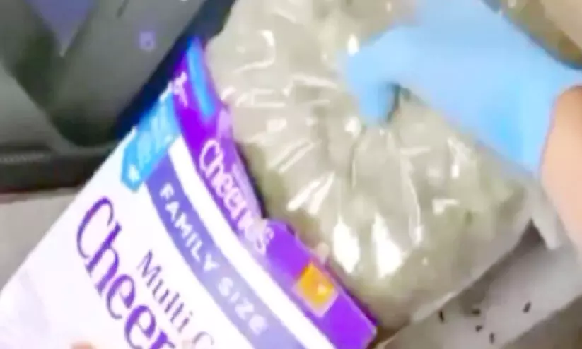 കഞ്ചാവ് കഞ്ചാവ്