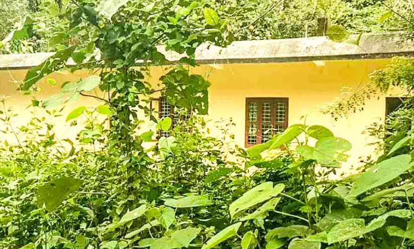 Social classroom Social classroom