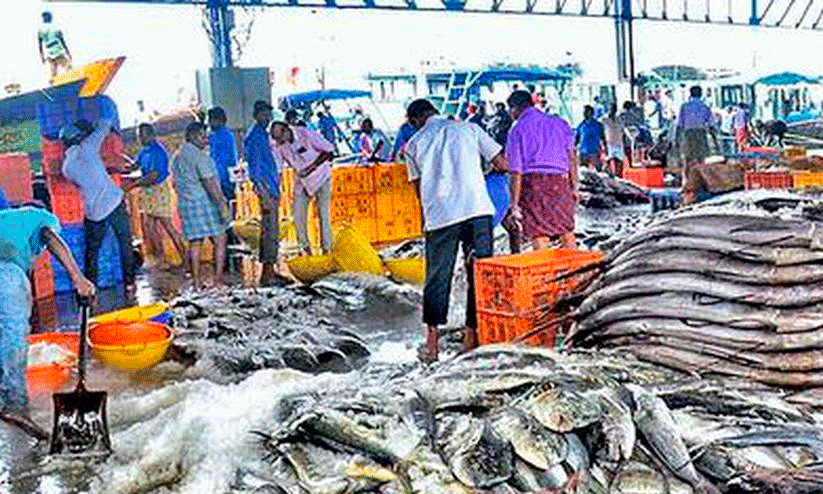 Kochi Fisheries Harbour