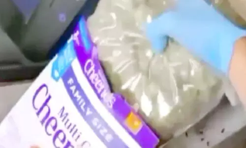 ക​ഞ്ചാ​വ്