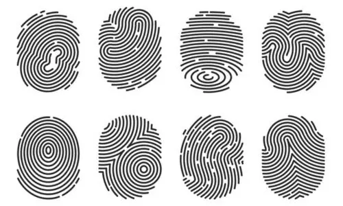 വിരലടയാളം തുണച്ചു; യുവാവിന്റെ മൃതദേഹം നാലു പതിറ്റാണ്ടിനു ശേഷം തിരിച്ചറിഞ്ഞു