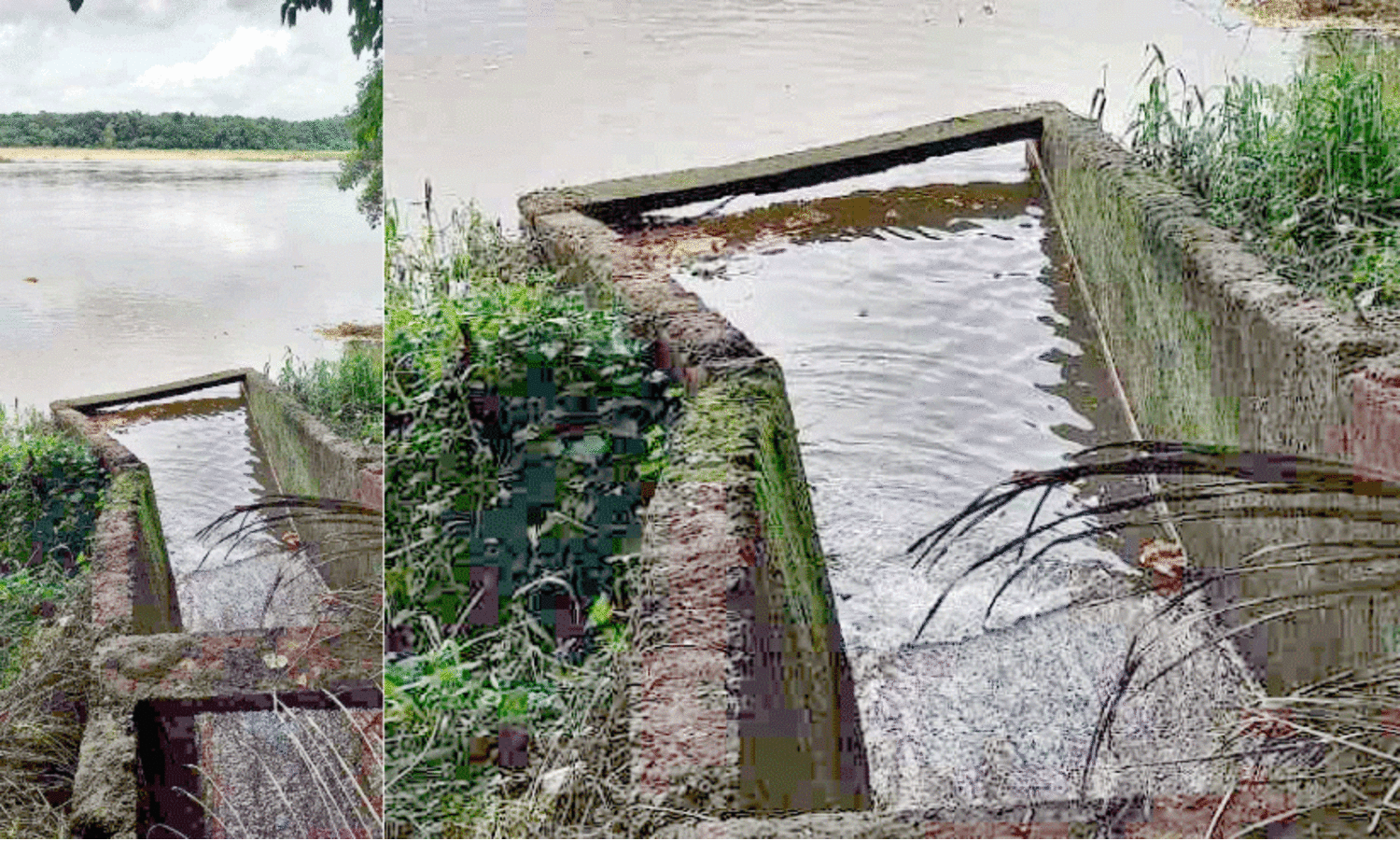 കാ​ങ്ക​പ്പു​ഴ ജ​ല​സം​ഭ​ര​ണ​ിയി​ലേ​ക്ക് മാ​ലി​ന്യം ഒ​ഴു​കു​ന്നു