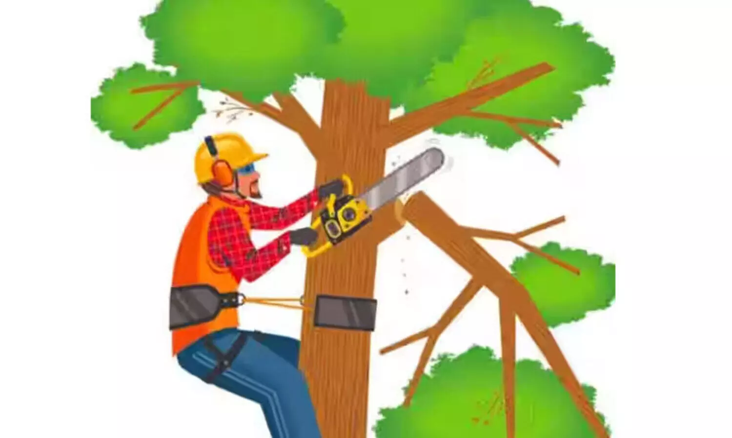 കോട്ടയം ജില്ല ആശുപത്രിയിൽ മരച്ചില്ലകൾ മുറിക്കാൻ 89,000 രൂപ