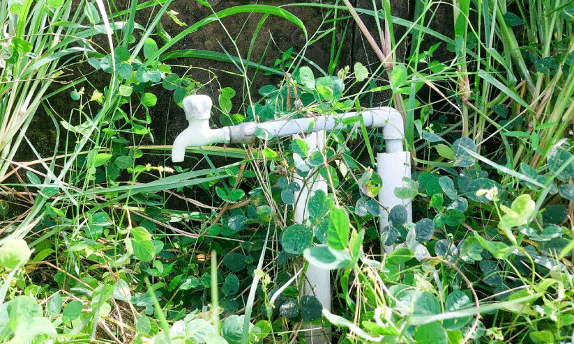 ചേറ്റുവ പടന്ന തീരപ്രദേശത്ത് കുടിവെള്ളമെത്തിയിട്ട് ഒരാണ്ട് ചേറ്റുവ പടന്ന തീരപ്രദേശത്ത് കുടിവെള്ളമെത്തിയിട്ട് ഒരാണ്ട്