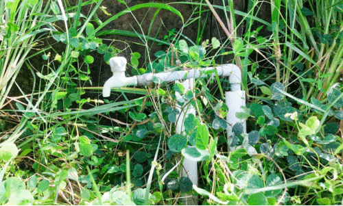 ചേ​റ്റു​വ പ​ട​ന്ന തീ​ര​പ്ര​ദേ​ശ​ത്ത് കു​ടി​വെ​ള്ള​മെ​ത്തി​യി​ട്ട് ഒ​രാ​ണ്ട്