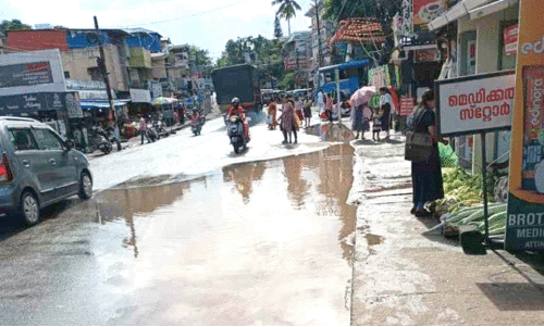 പാലസ് റോഡിലെ വെള്ളക്കെട്ട്: നടപടി വൈകുന്നു; ജനം ദുരിതത്തിൽ
