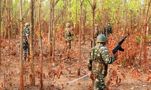 Naxals killed in Chhattisgarh
