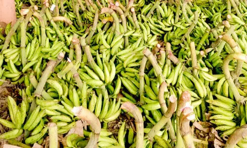 വി​പ​ണിയിൽ ഓണമേളം; സജീവമായി പഴം-പച്ചക്കറി വിപണി