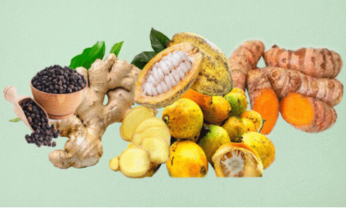 വടക്കഞ്ചേരി മലഞ്ചരക്ക് വിപണന കേന്ദ്രം വികസനക്കുതിപ്പിൽ